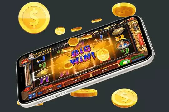 appdo666